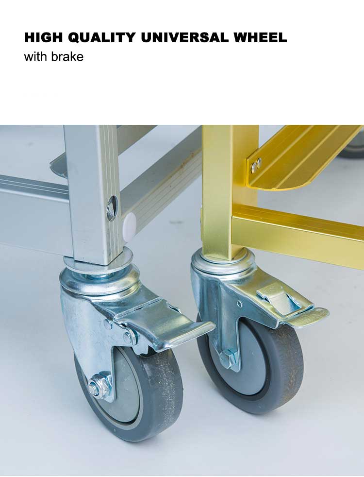 tray trolley with brake